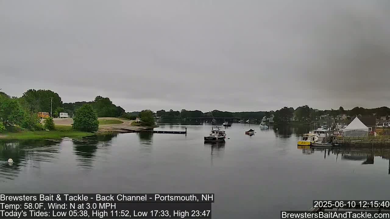 A calm river scene under an overcast sky shows several boats moored along a shoreline with green trees and buildings in the background.