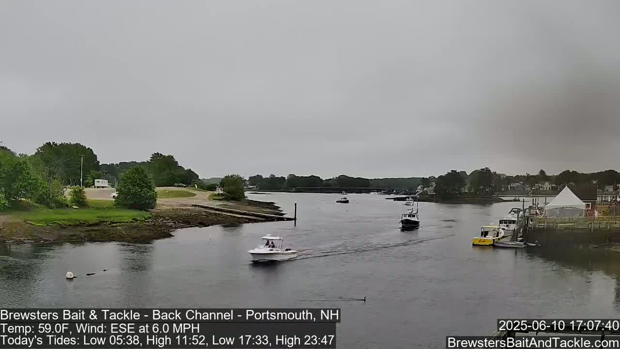 A calm river scene under an overcast sky shows several boats moored along a shoreline with green trees and buildings in the background.