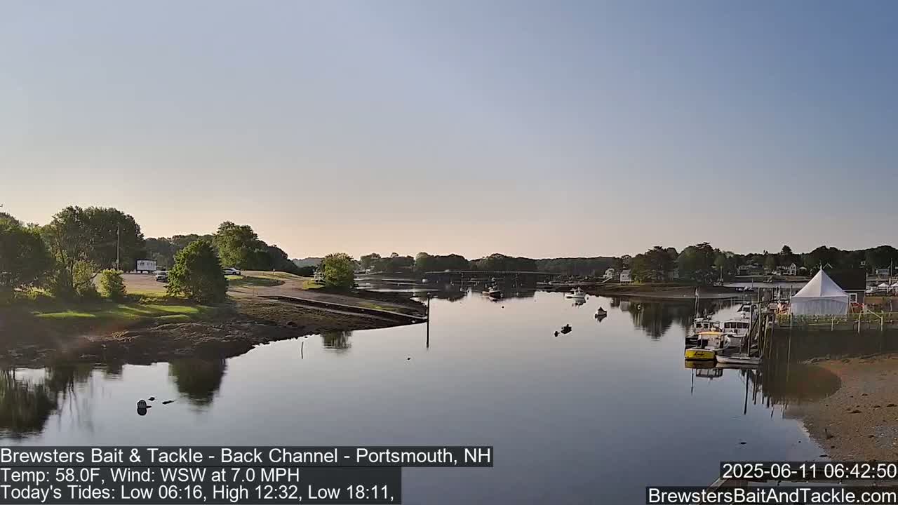 A calm river flows past a tranquil shoreline with docked boats and a white tent under a clear, light-blue sky.