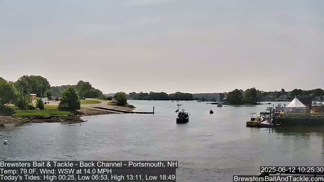 A calm body of water with several boats, a shoreline with trees and buildings, and an overcast sky.