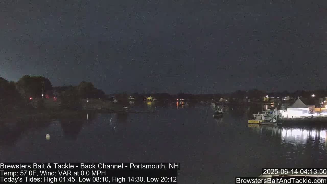 A nighttime view of a calm body of water with boats moored near a shoreline under a dark sky.