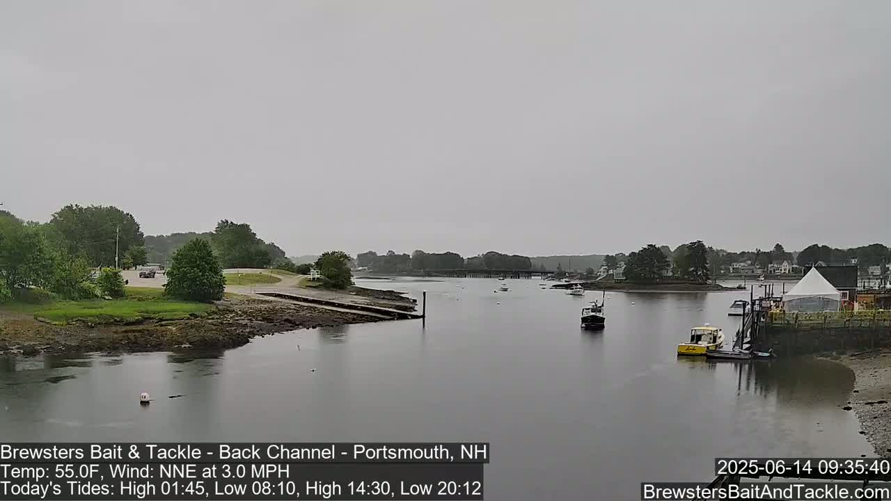 A calm, overcast day shows a waterway with several small boats moored near a shoreline with green trees and buildings.