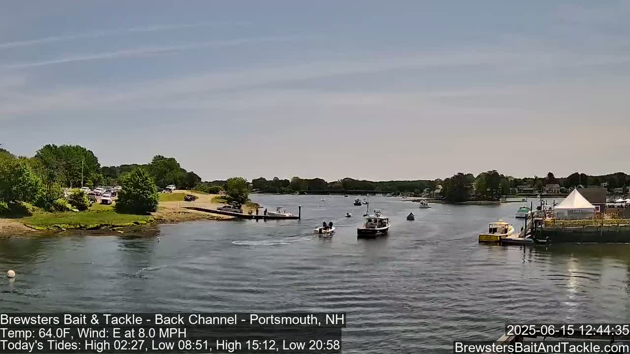 A calm, sunny day on a body of water shows several small boats near a shoreline with parked cars and buildings in the distance.
