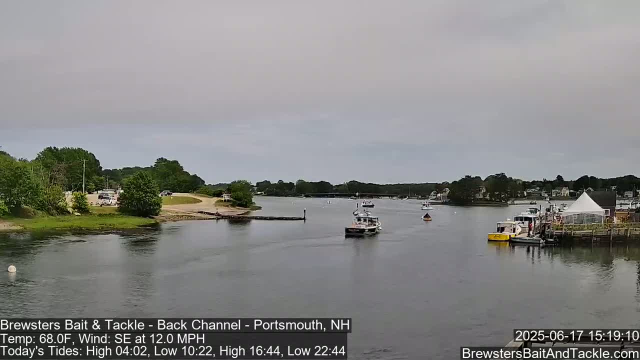 Several boats are moored at a waterfront dock with a white tent under an overcast sky.
