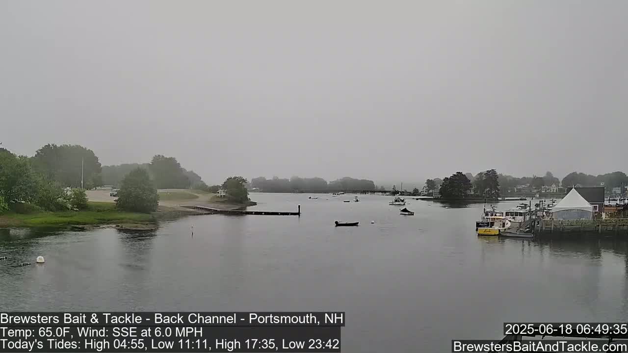 A hazy, overcast view of a calm body of water with several small boats and a shoreline with trees and buildings in the distance.