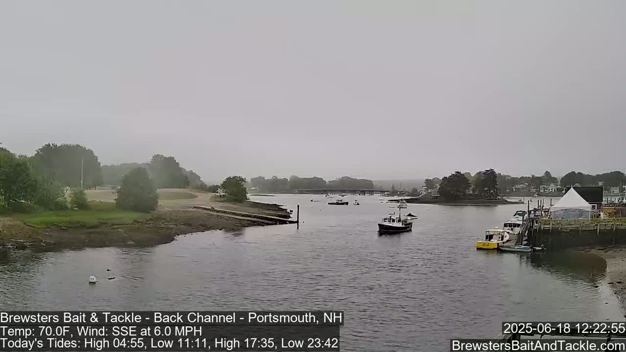 A hazy, overcast day reveals a calm waterway with several small boats moored near a shoreline with buildings and trees.