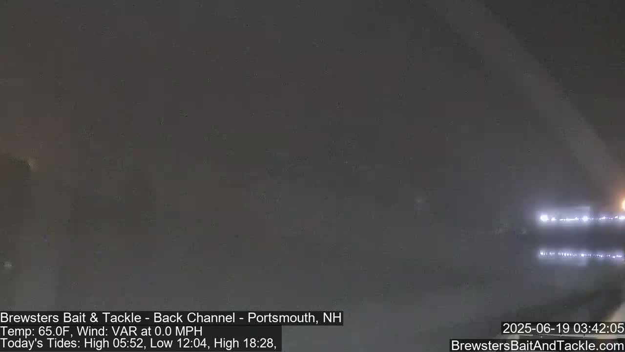 A nighttime, foggy view of a calm body of water with faint lights visible in the distance.