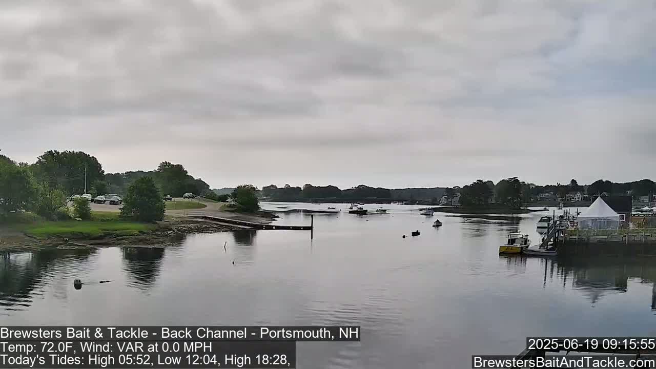 A calm, overcast day shows a waterway with several small boats and a parking lot with cars on the shore, under a gray sky.
