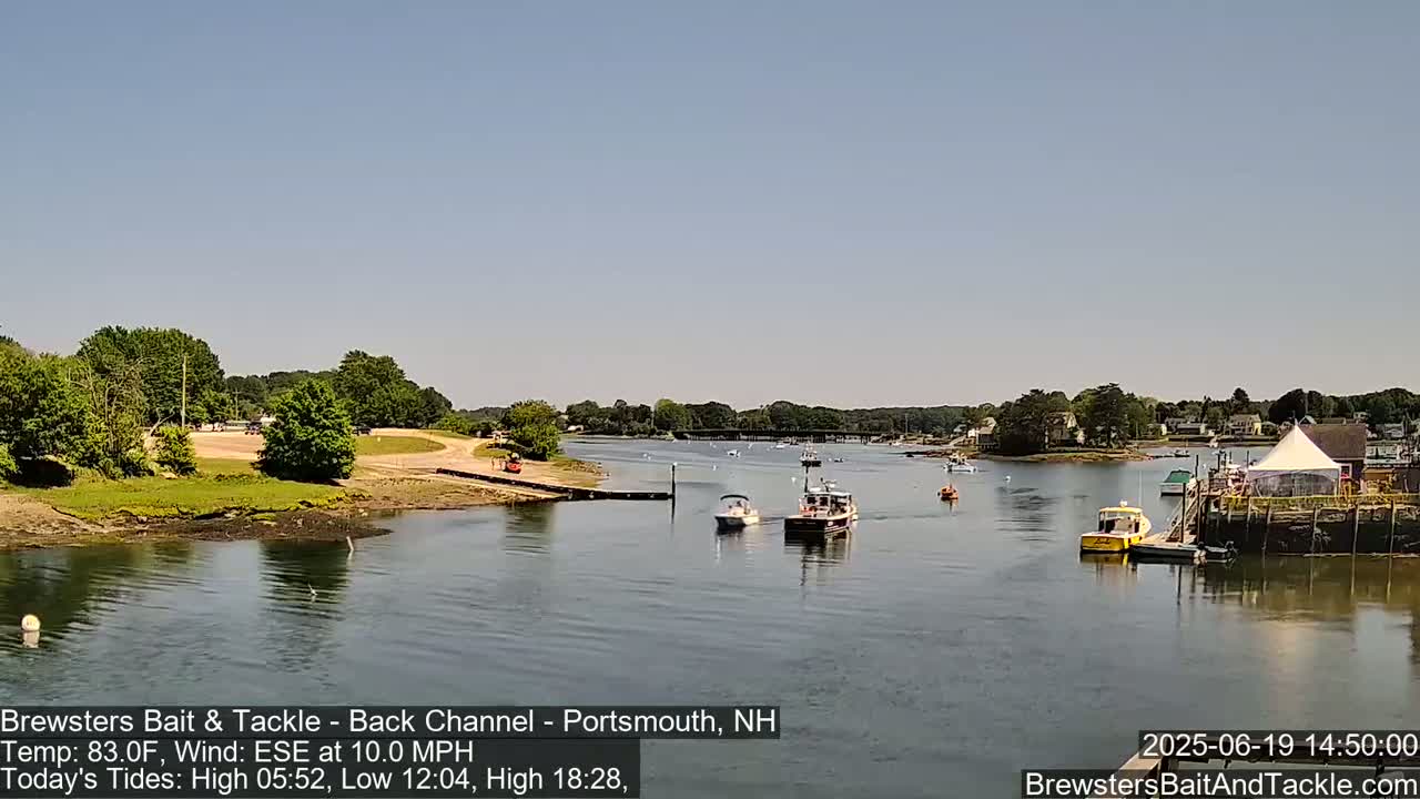 Several boats are on a calm river under a clear, sunny sky, with green trees and buildings visible in the background.