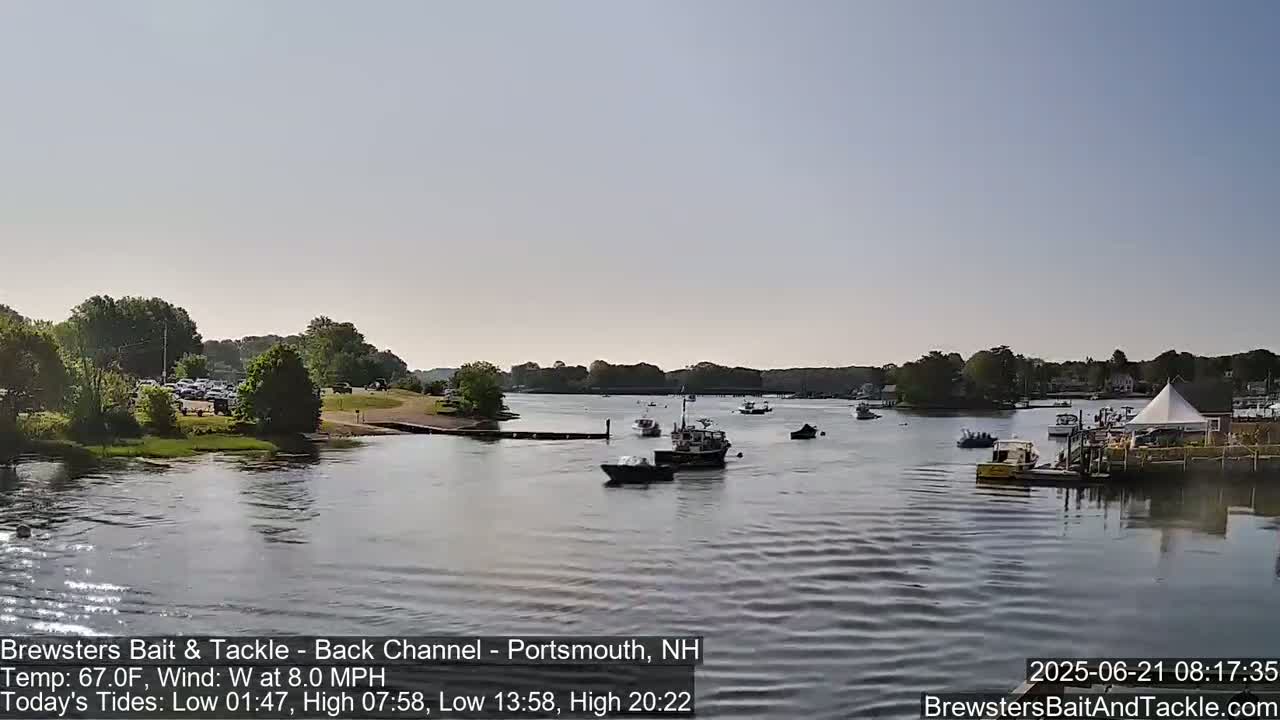 Several boats are on a calm body of water next to a shoreline with trees and a parking lot under a clear sky.