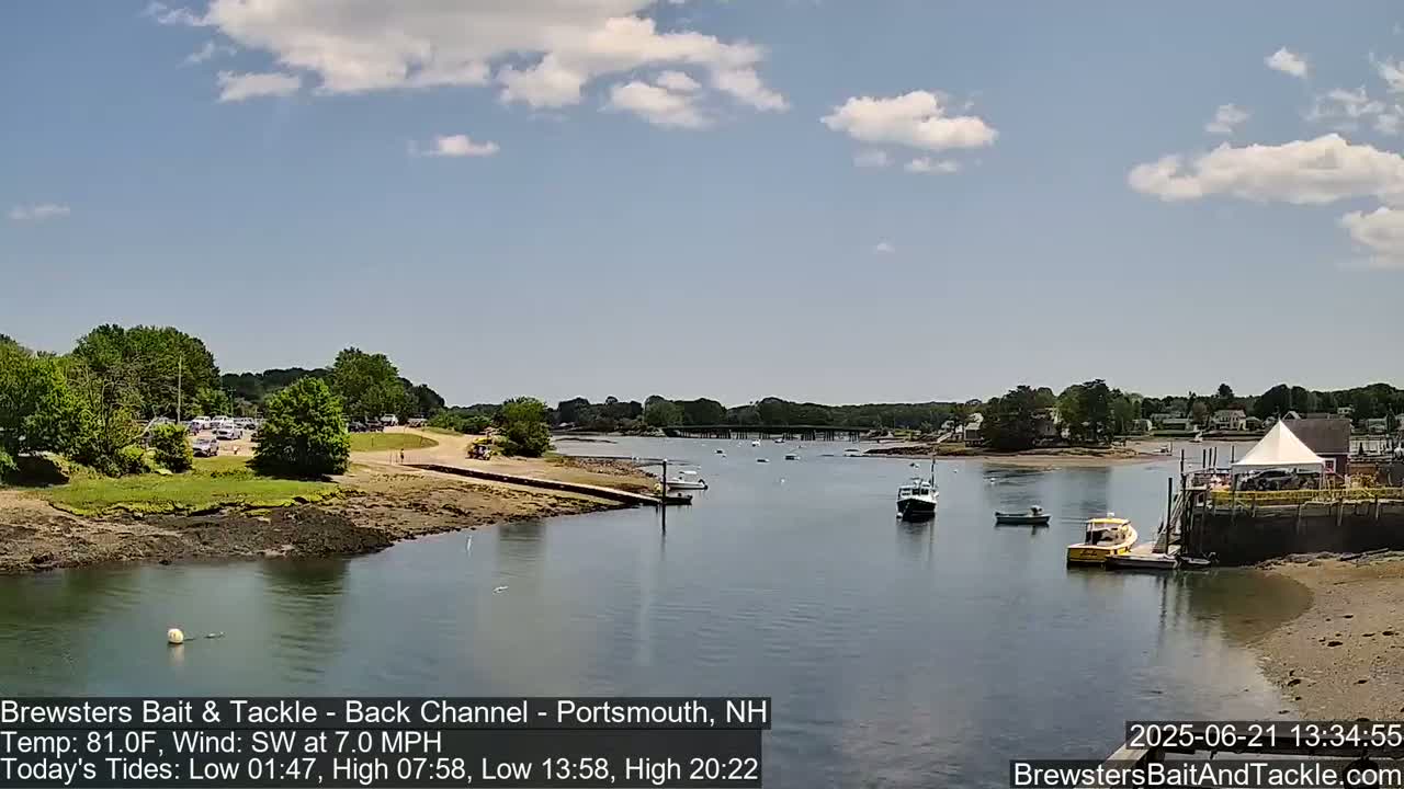 A calm, sunny day shows a waterway with several boats, a parking lot, and a shoreline with green vegetation.