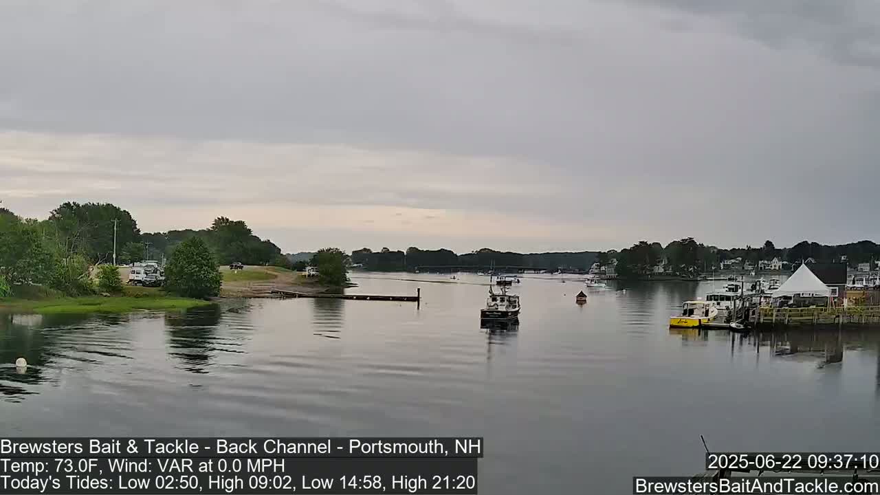A calm, overcast day shows a river scene with several boats, a shoreline with trees and cars parked, and a waterfront building with a tent.