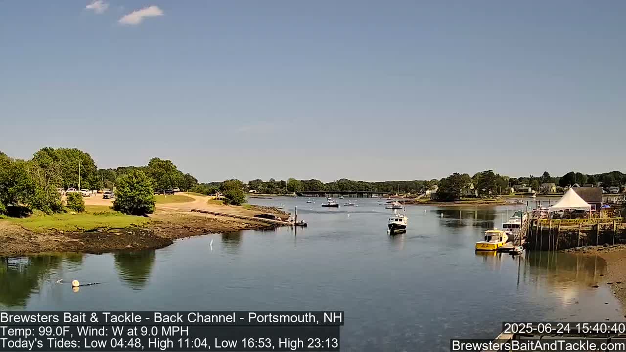 Several boats are moored in a calm waterway under a clear, sunny sky, with a parking lot and trees visible on the shoreline.