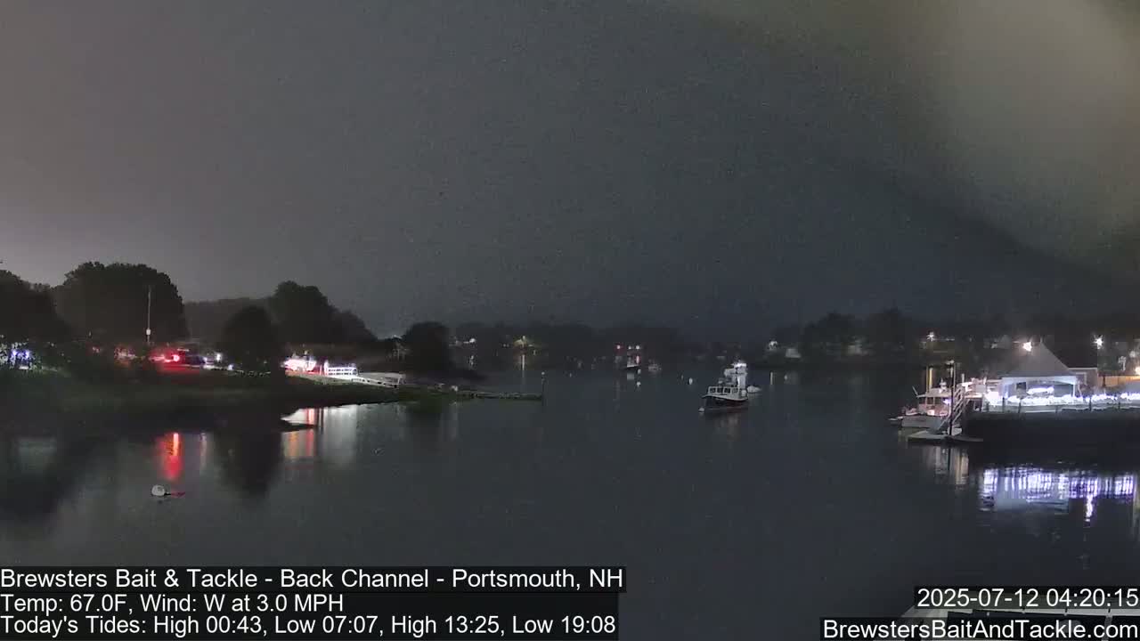 A nighttime view of a calm body of water with several boats moored near a shoreline, under a dark, overcast sky.