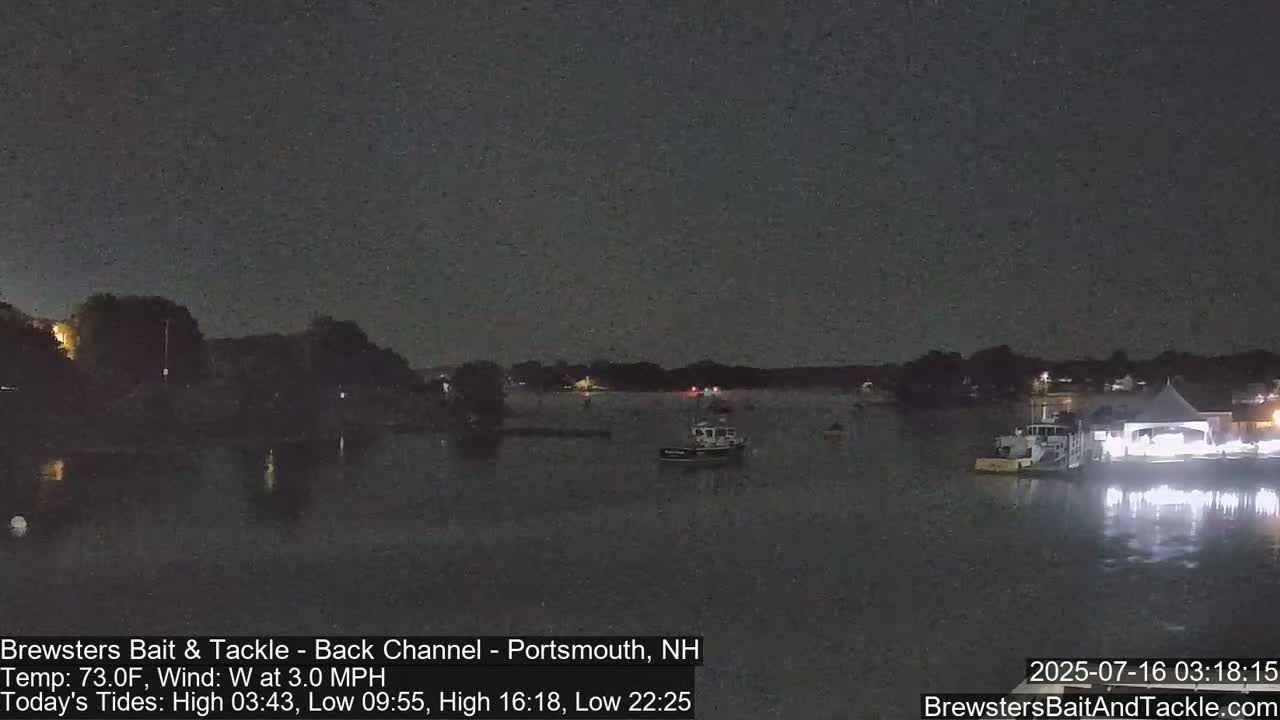 A nighttime view of a calm body of water with several boats moored near a lit structure on the shore under a dark sky.