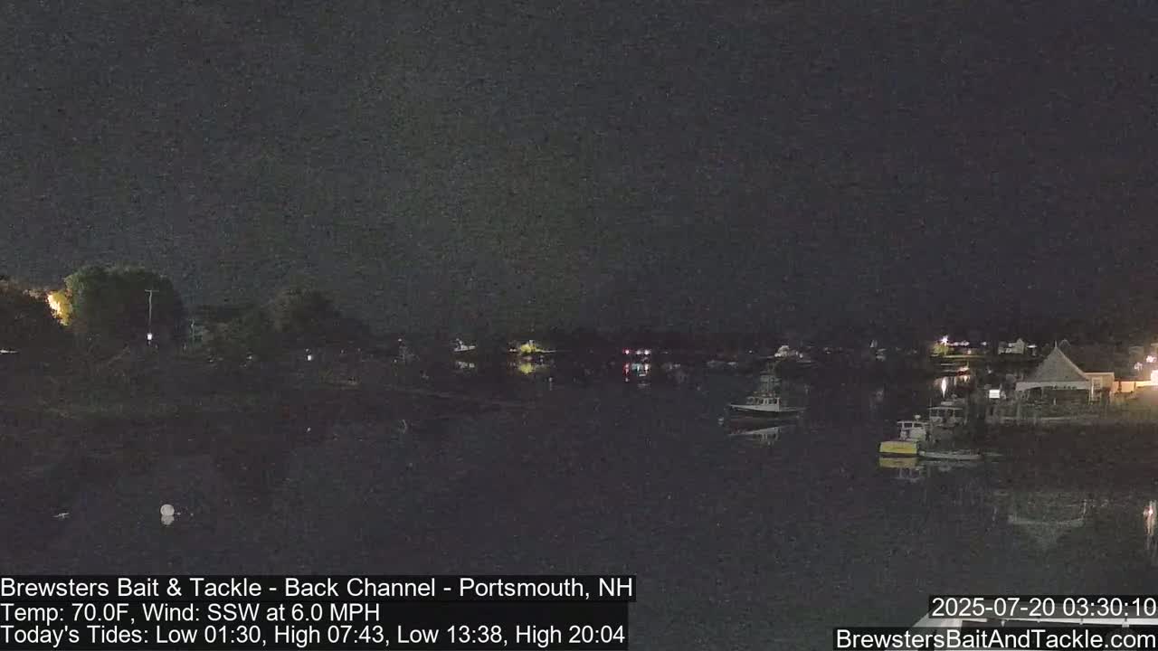 A nighttime view of a calm harbor with several boats moored, under a dark sky.