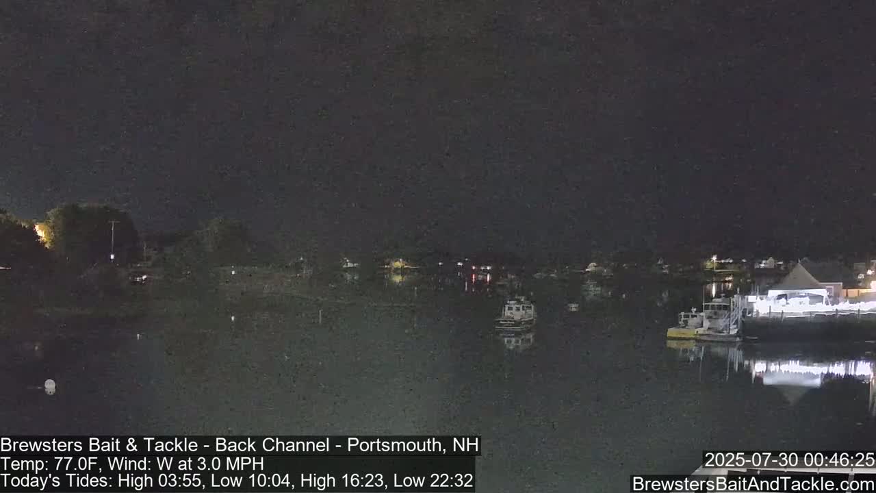 A nighttime view of a calm harbor with several boats moored, under a dark sky.