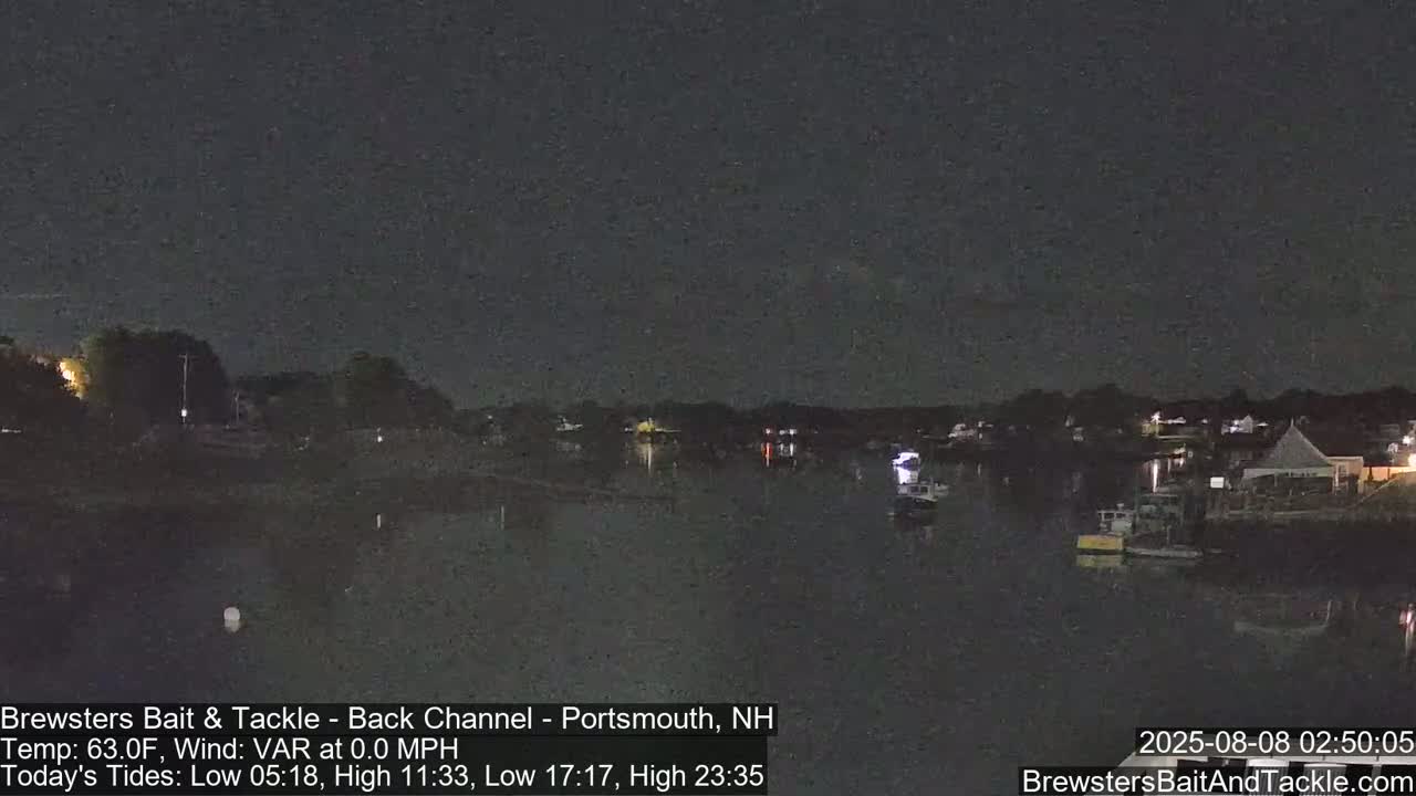 A nighttime view of a calm body of water with boats and a shoreline showing faint lights under a dark, clear sky.