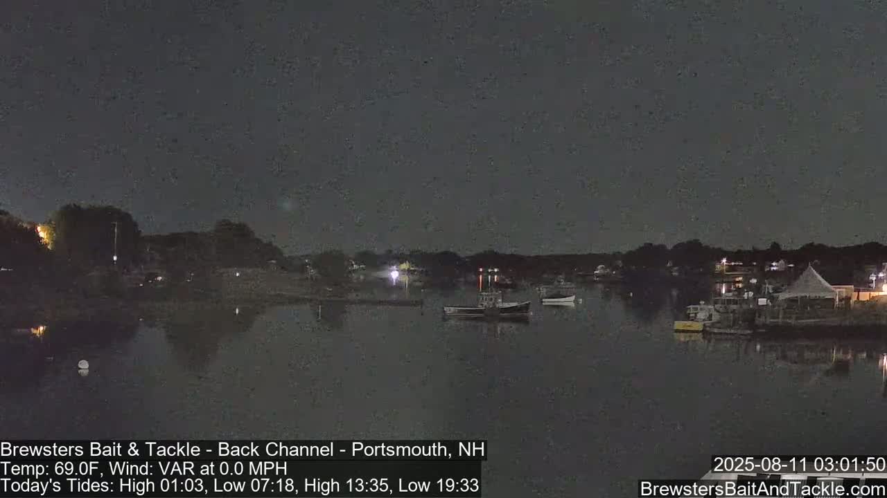 A nighttime view of a calm harbor with several boats moored, under a dark sky.