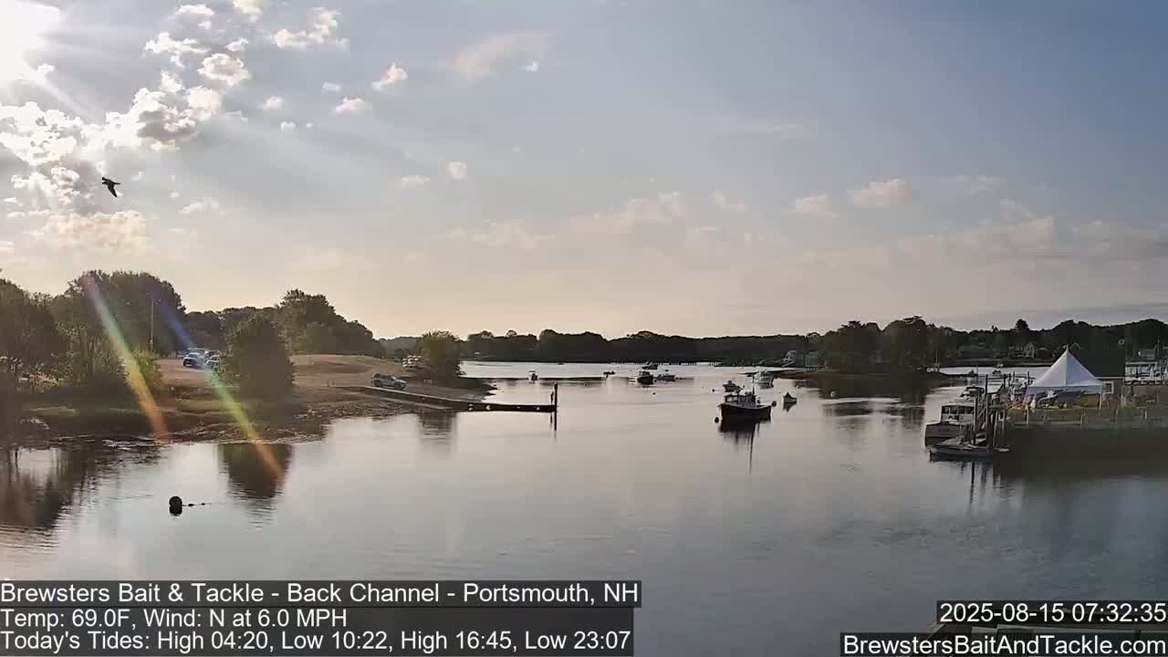 A nighttime view of a calm harbor with several boats moored, under a dark sky.