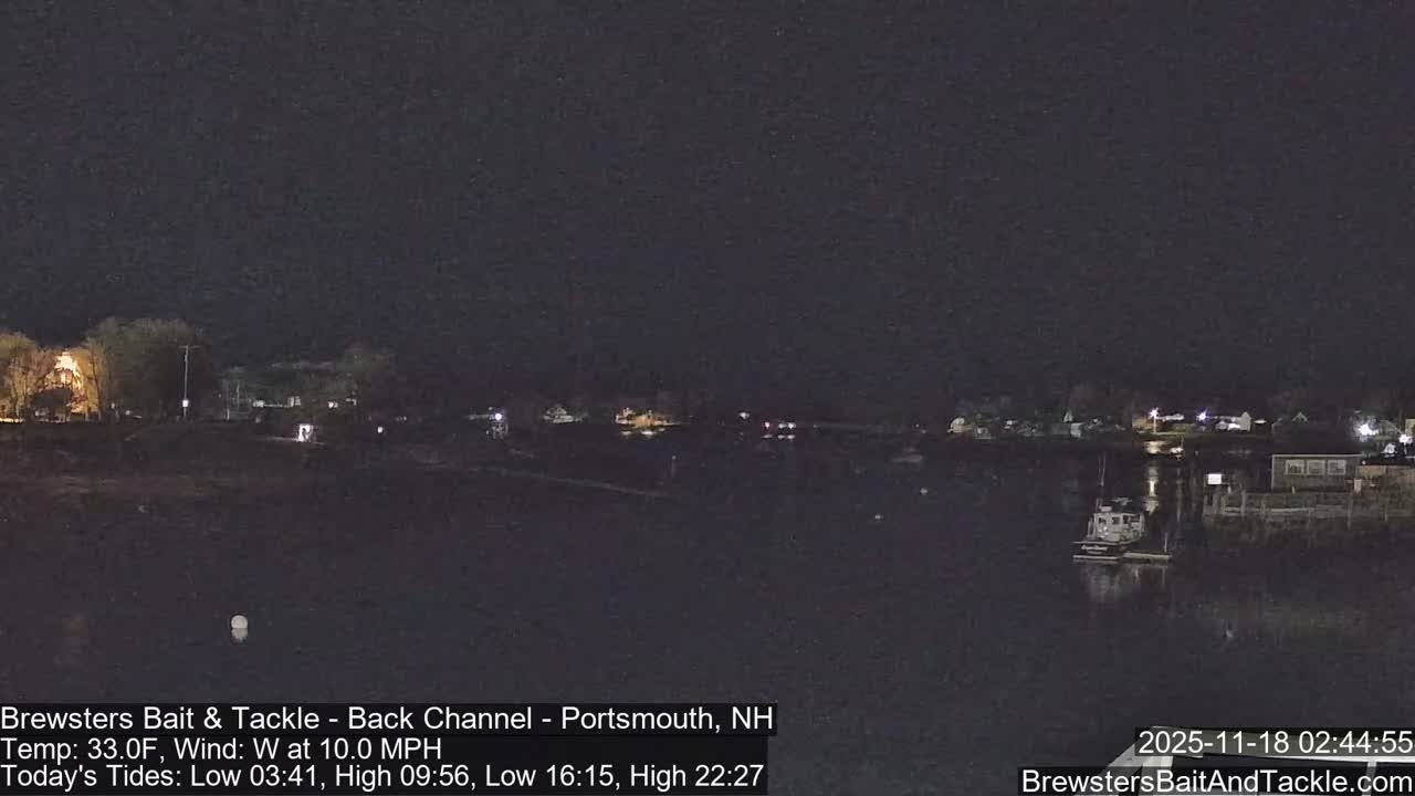 A nighttime view of a calm harbor with several boats moored, under a dark sky.