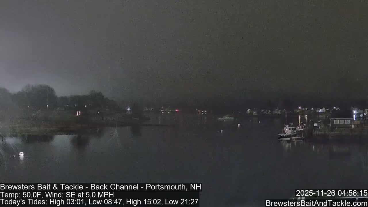 A dark, misty early morning view captures a tranquil channel with several boats docked along the right bank and scattered lights illuminating the distant shores, all under an overcast sky.