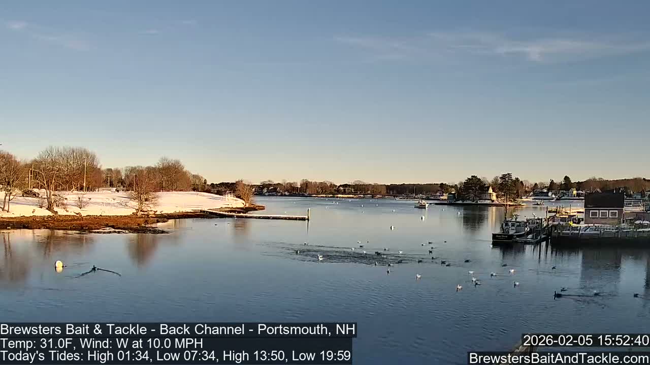 Piscataqua River Back Channel from Brewster's Bait & Tackle Live Cam -  Portsmouth, Rockingham, New Hampshire, USA