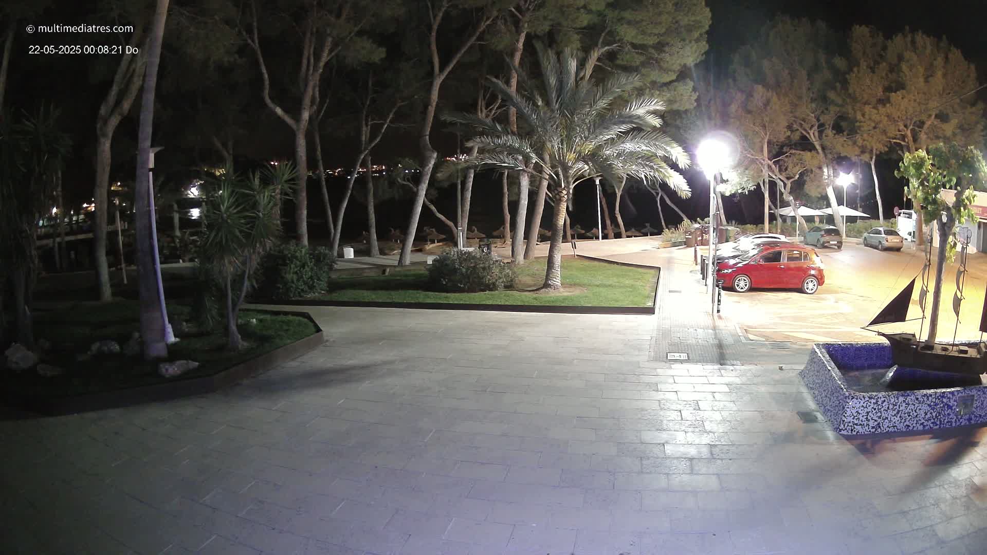 A nighttime scene of a paved area with palm trees, shrubs, and several cars parked near a body of water, illuminated by artificial lights.