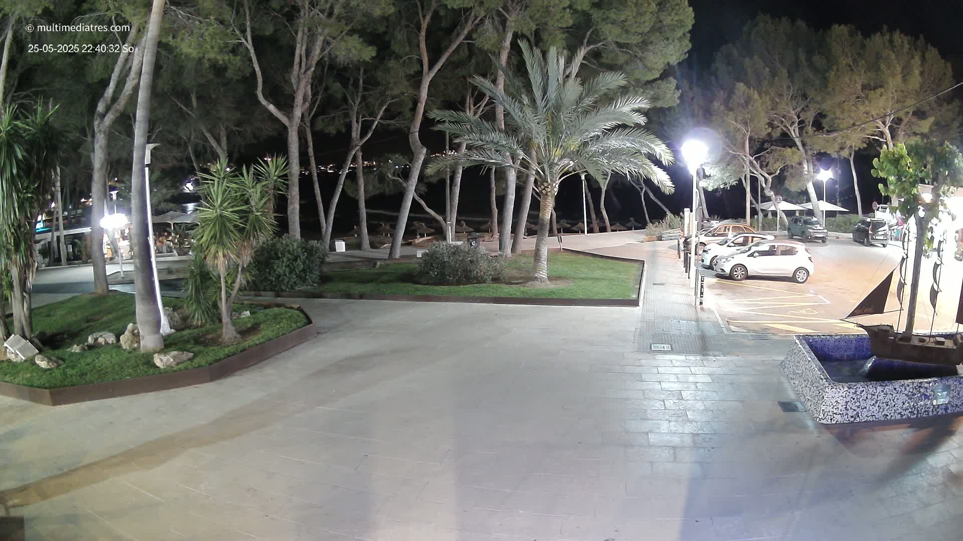 A nighttime view of a paved plaza with palm trees, other vegetation, and a few parked cars, all illuminated by artificial lights.