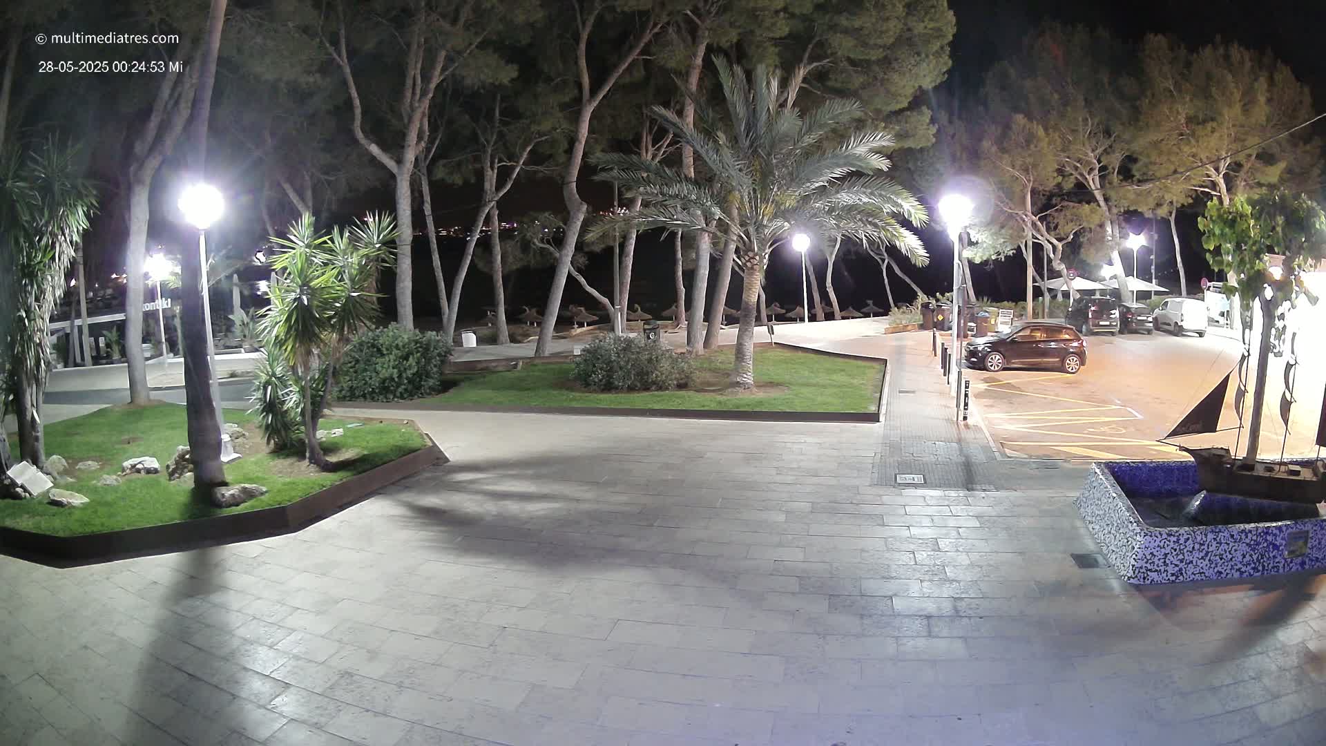 A nighttime view of a paved plaza with palm trees and other vegetation, lit by streetlights, with a few cars parked nearby.