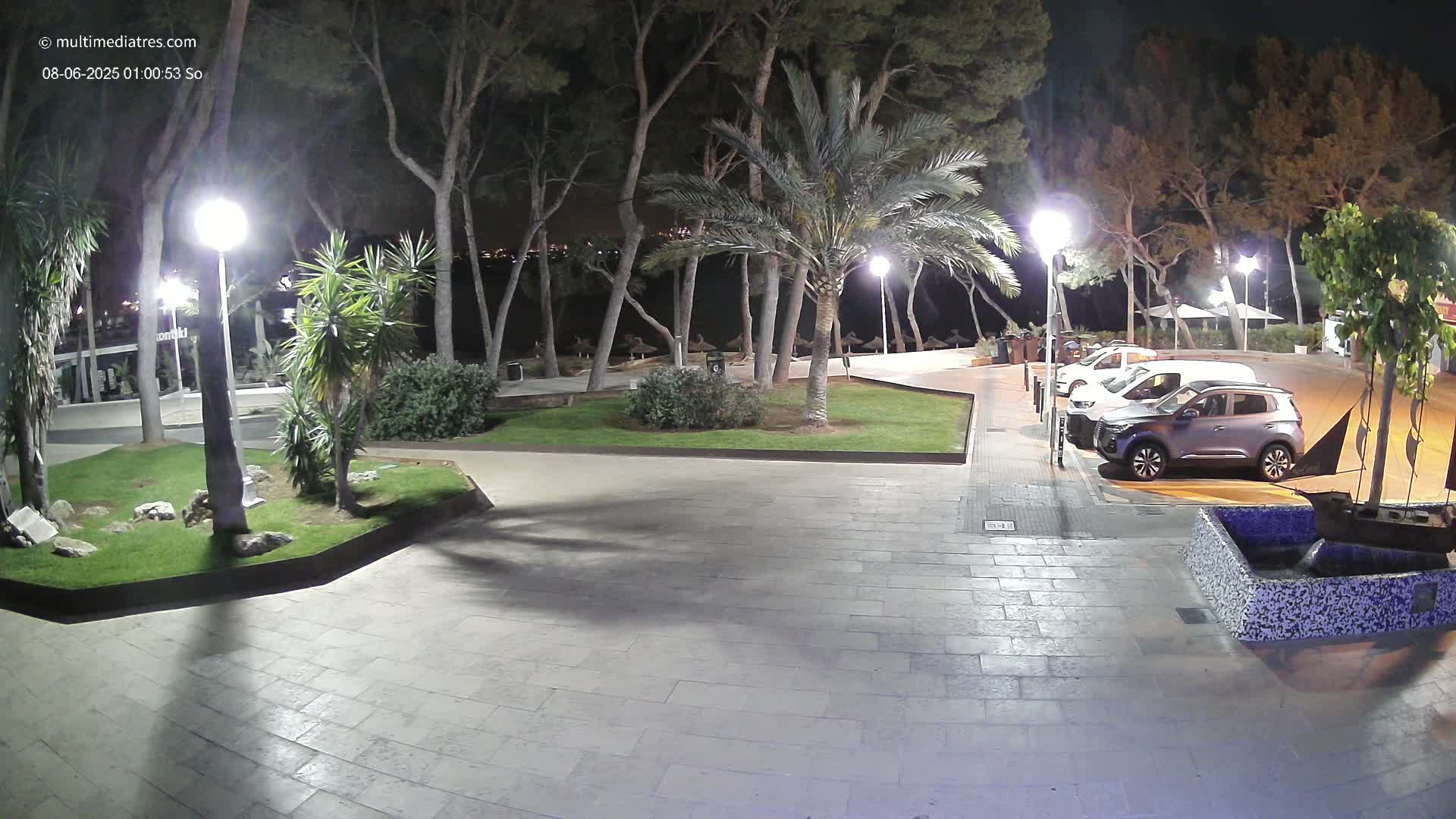 A nighttime view of a paved plaza with palm trees, shrubs, and several parked cars, illuminated by lampposts.