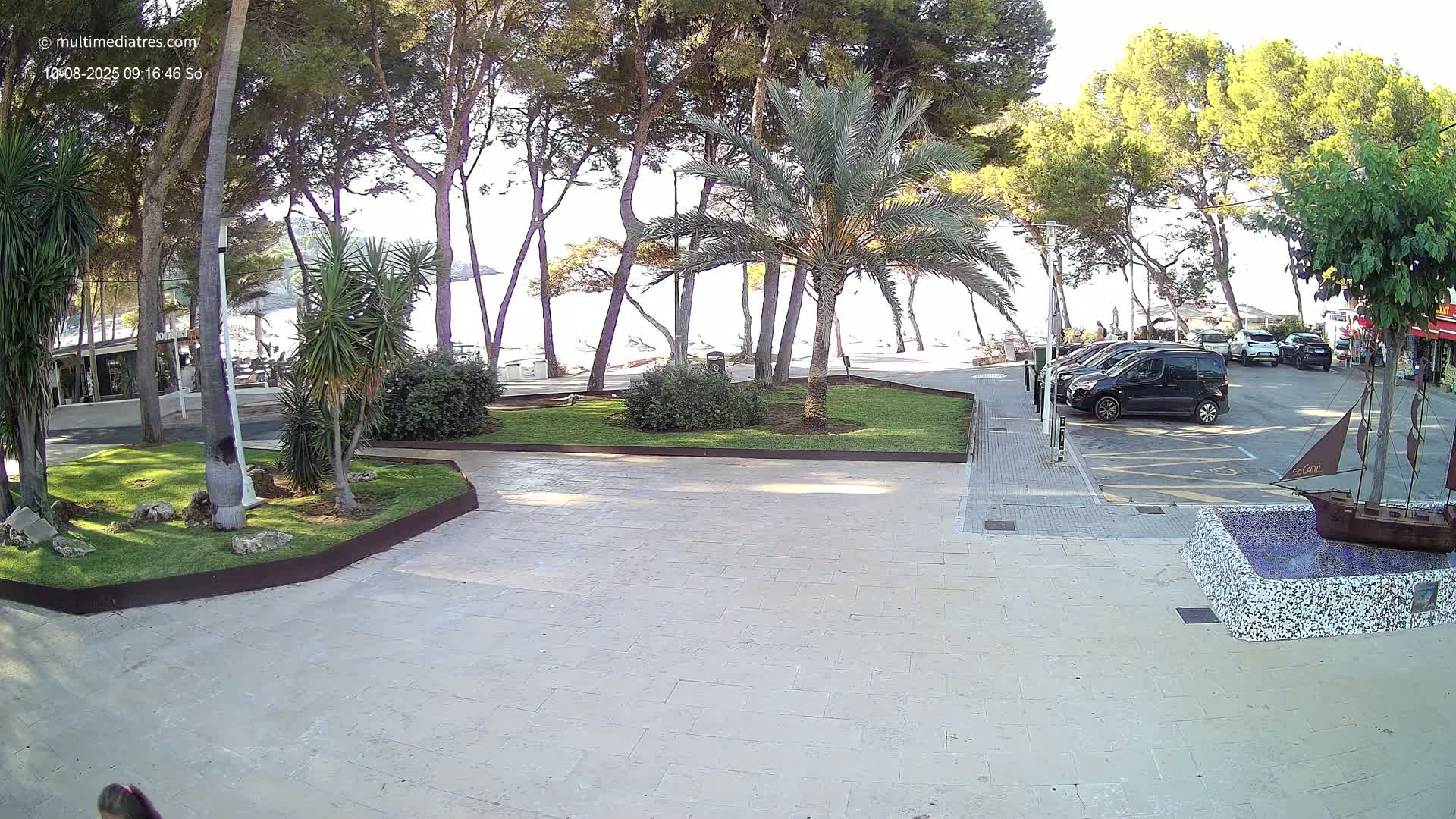 A sunny seaside plaza with palm trees, a small park, and a paved area with parked cars is visible, viewed from a slightly elevated angle.