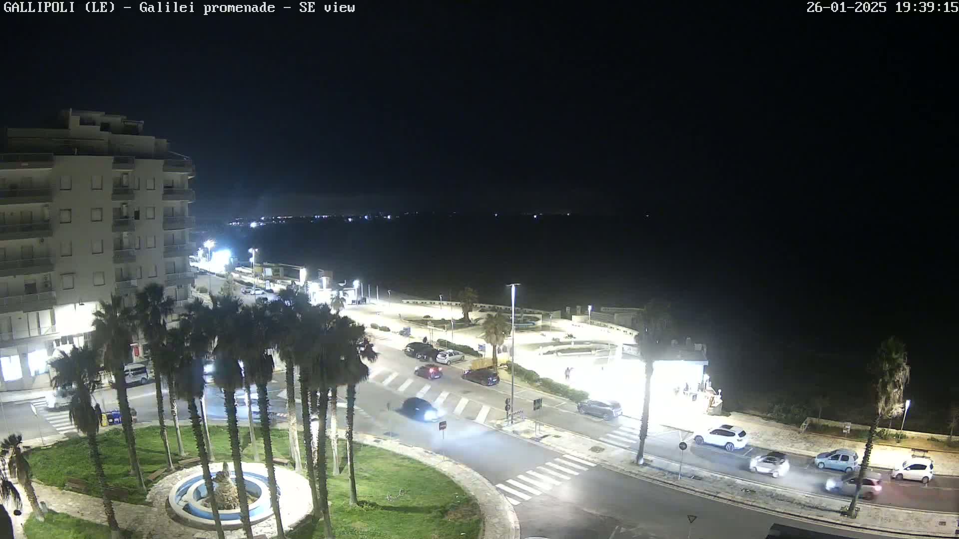 Here's a description of the image: A nighttime, high-angle view of a coastal town square with palm trees, a fountain, and several cars driving along roads that intersect near the water.
