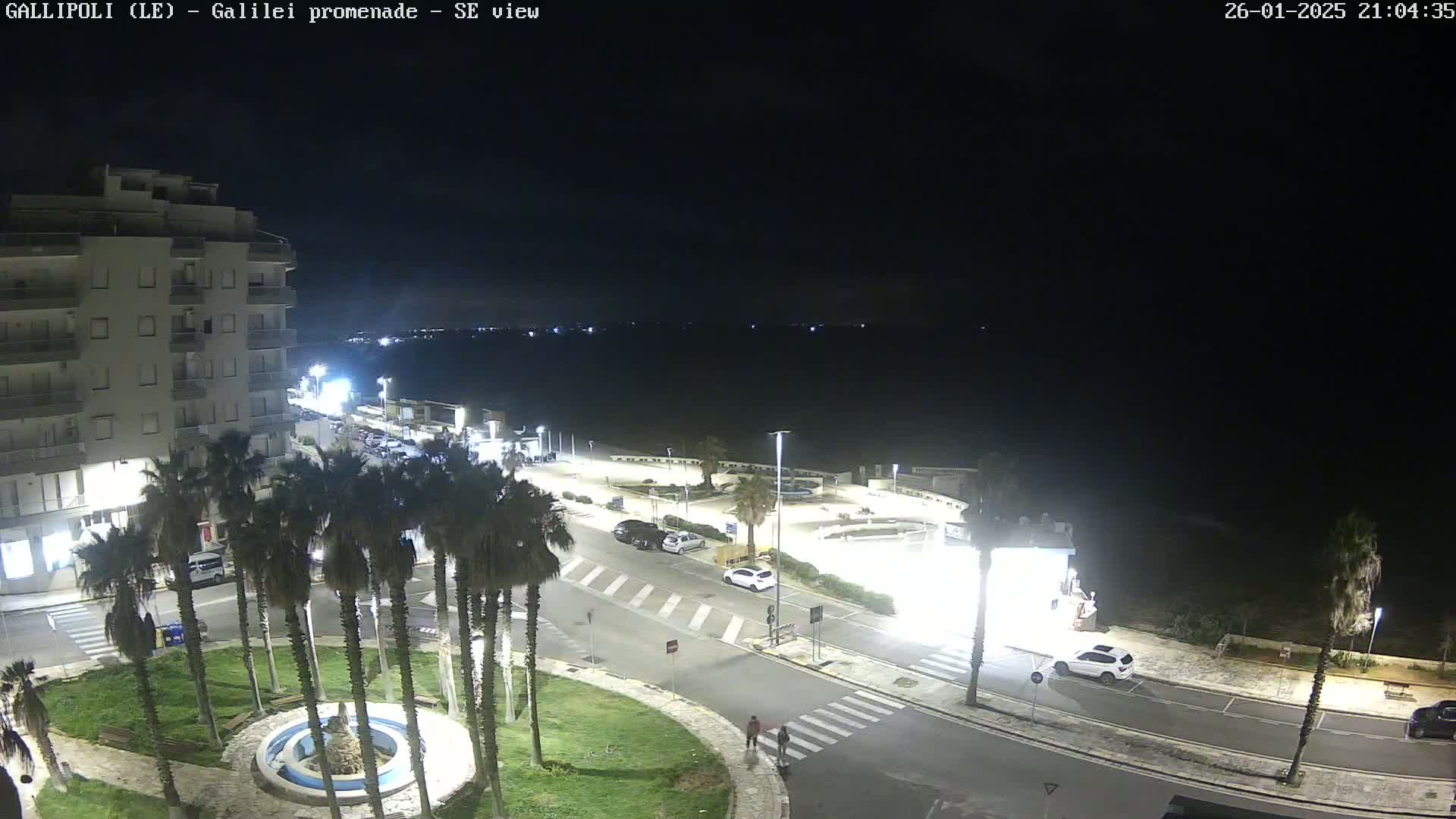 A nighttime, high-angle view shows a coastal town with a promenade, palm trees, cars parked along the streets, and a multi-story building, all under a dark, clear sky.