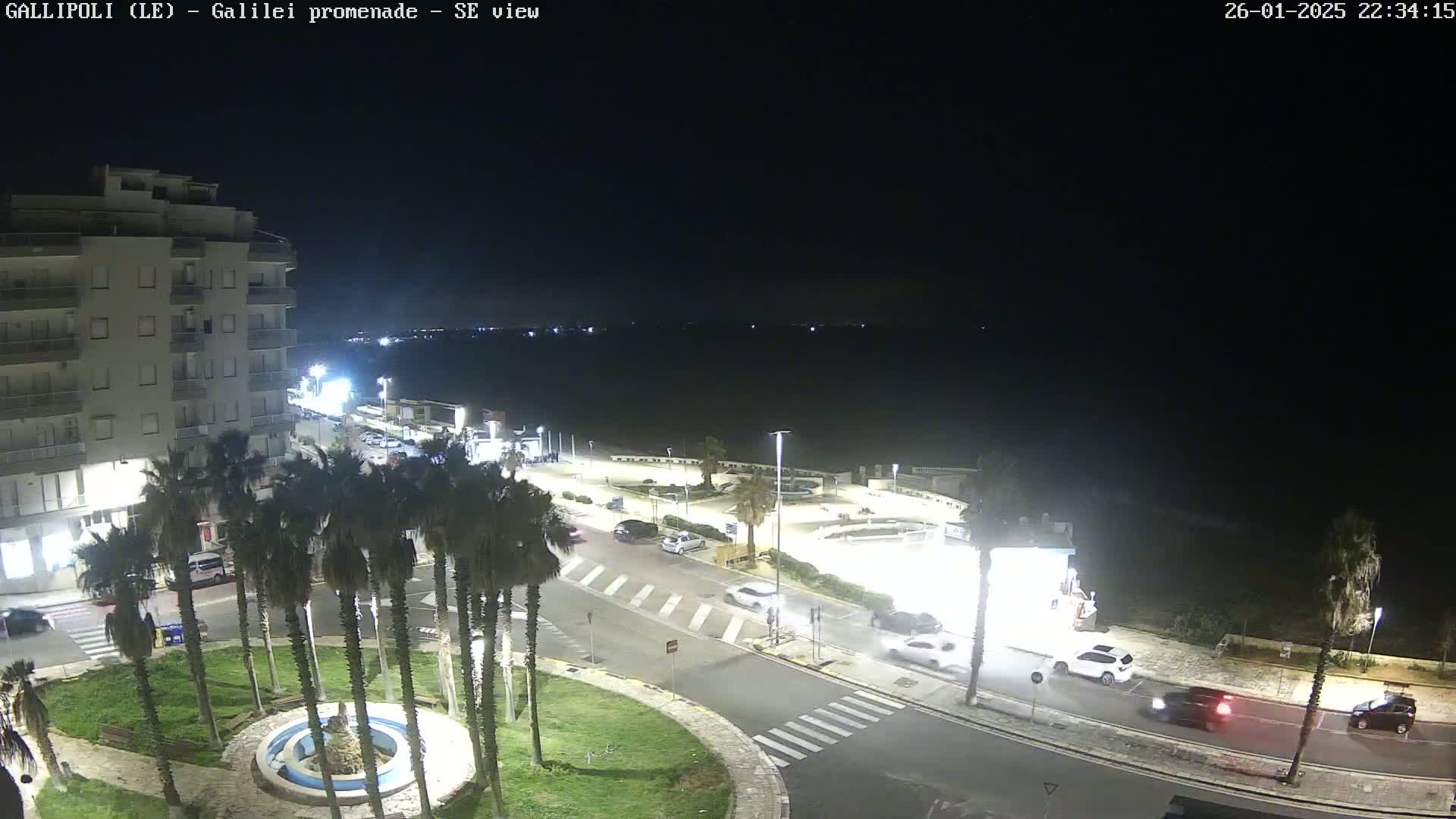 A nighttime, high-angle view shows a seaside town with palm trees lining a roadway and a building in the upper left corner, all under a clear, dark sky.
