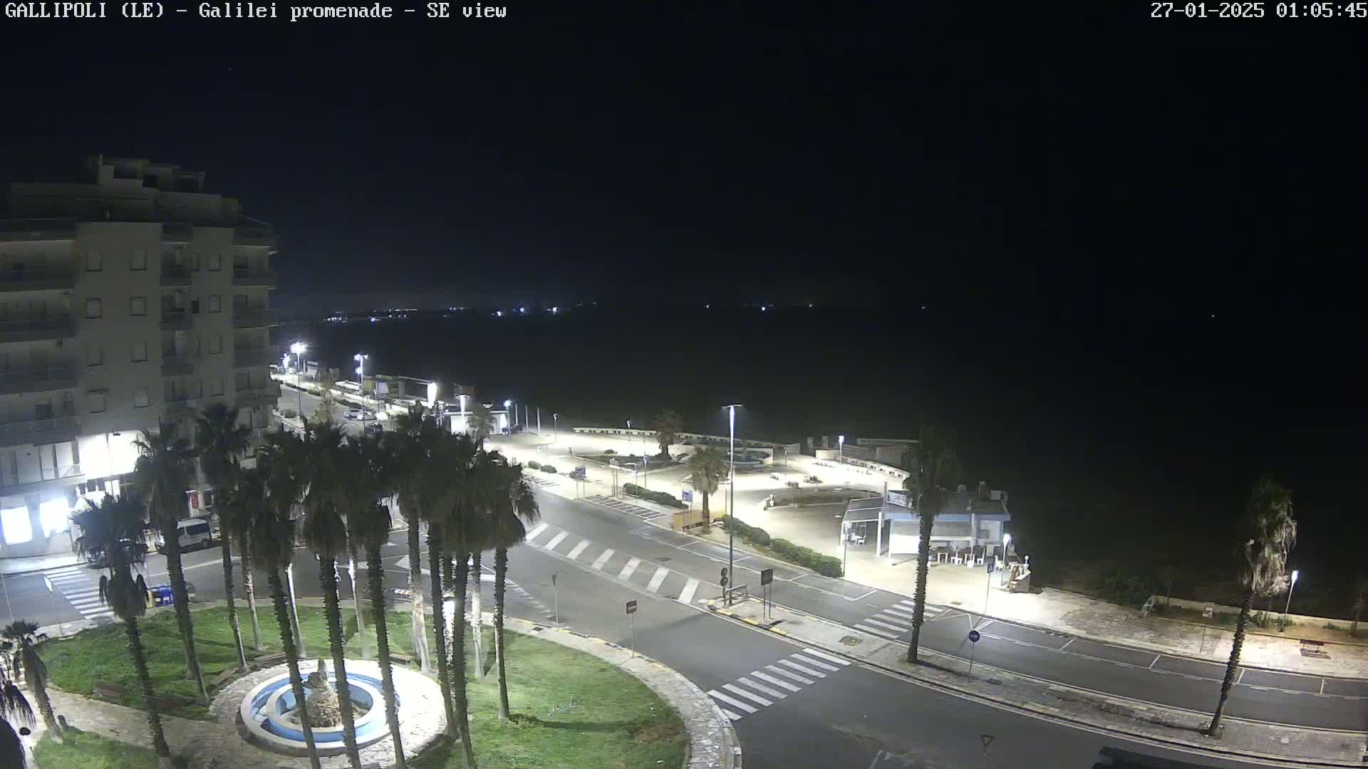 A nighttime, high-angle view of a coastal town's promenade with palm trees, roads, and buildings, under a clear, dark sky.