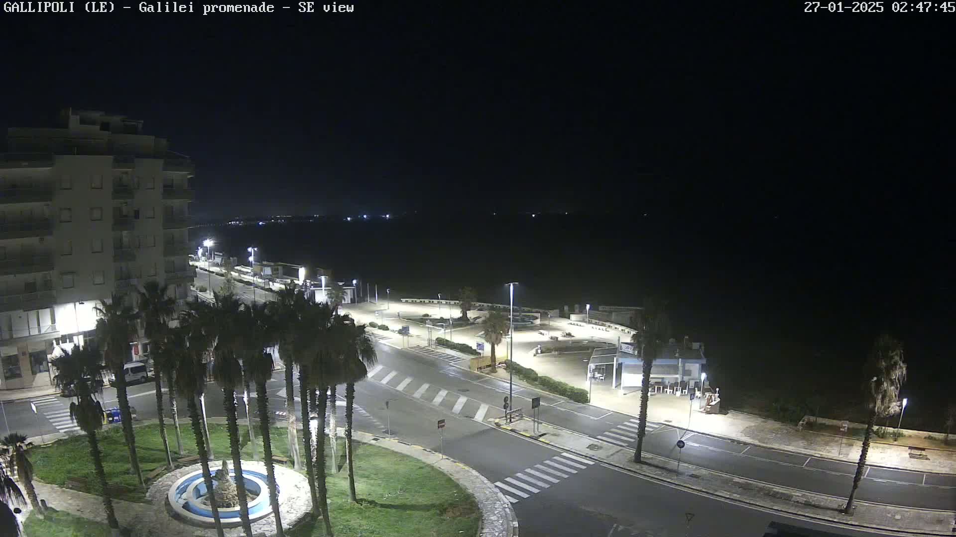 A nighttime, overhead view of a mostly empty promenade with palm trees, a fountain, and a multi-story building, lit by streetlights.