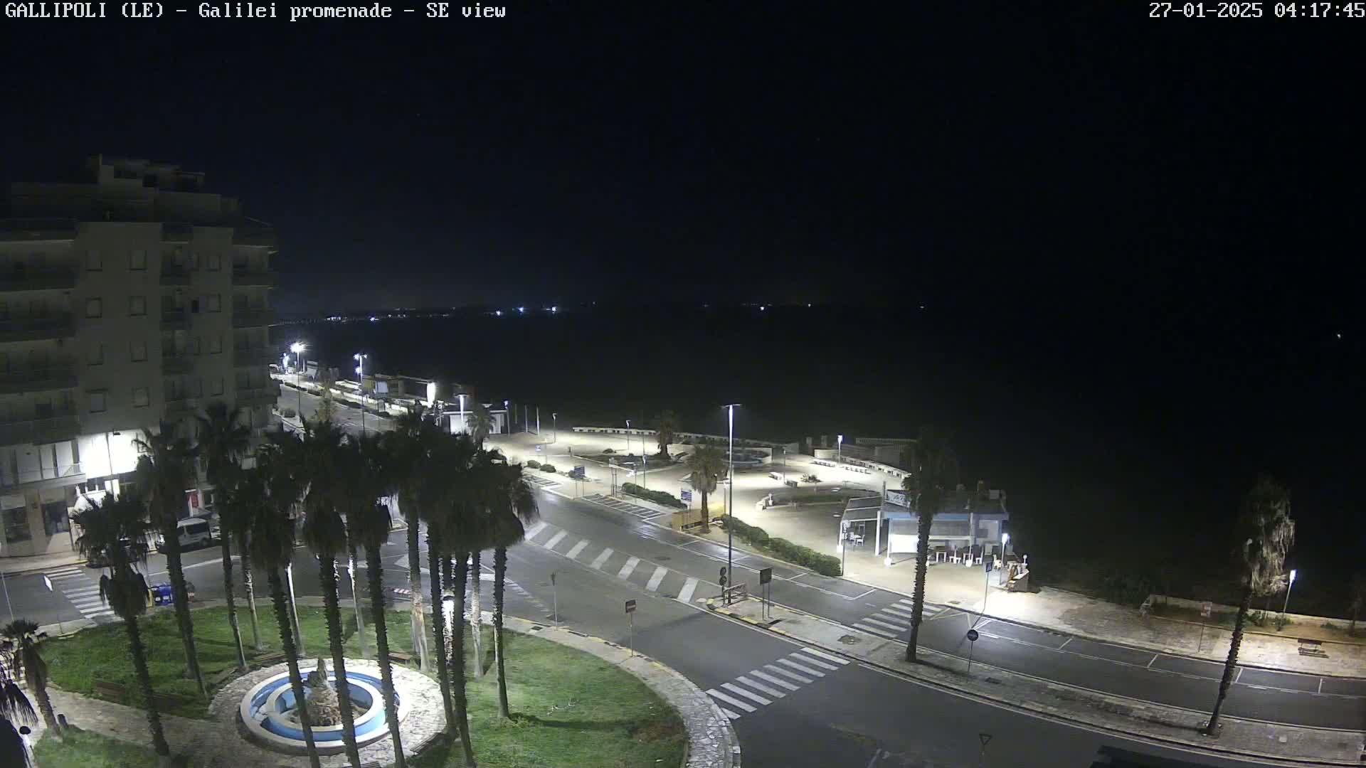 A nighttime, overhead view of a seaside promenade, featuring a building, palm trees, and wet roads.