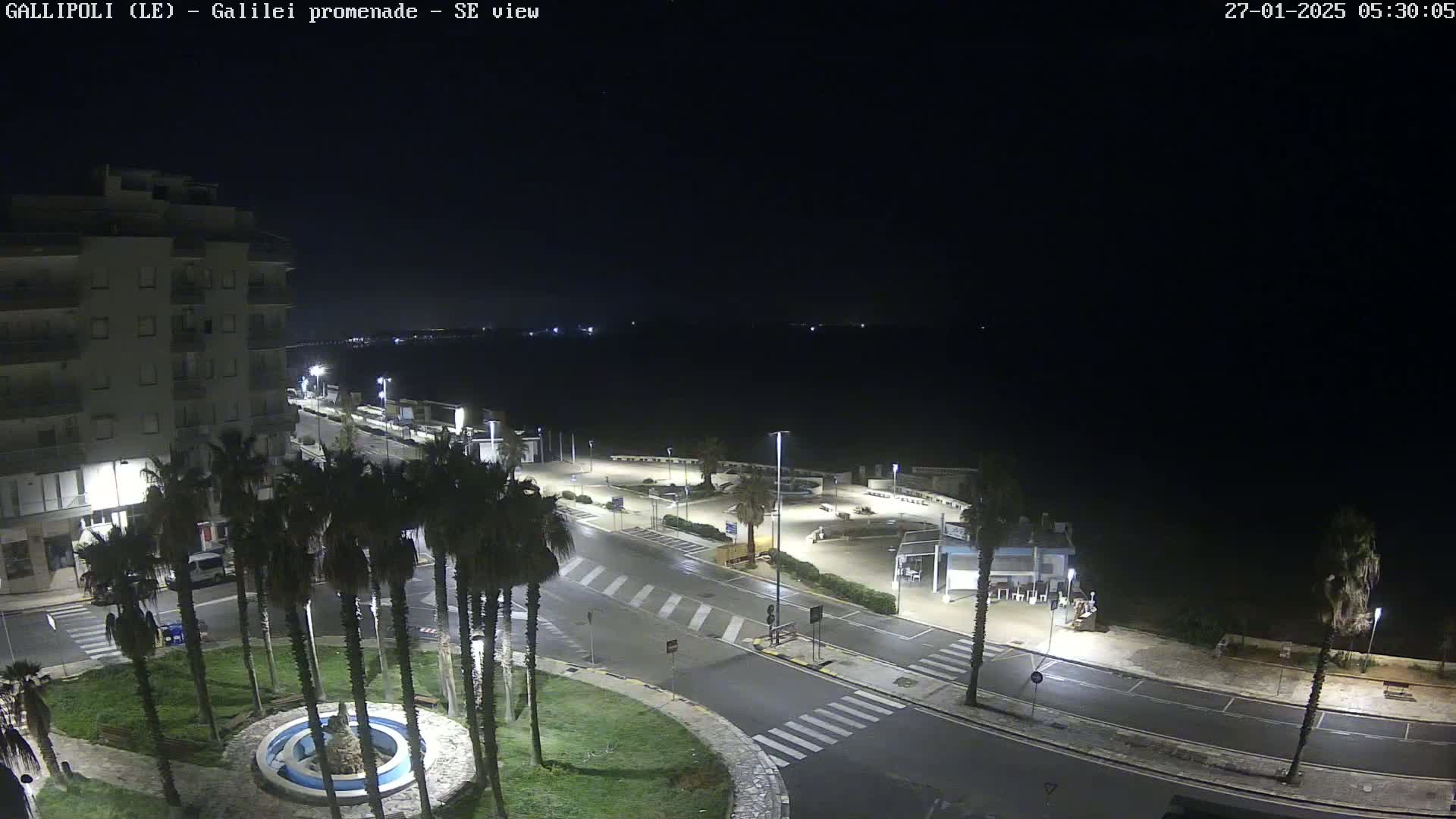 A nighttime, high-angle view of a seaside promenade with palm trees, a fountain, and a building, under a clear, dark sky.