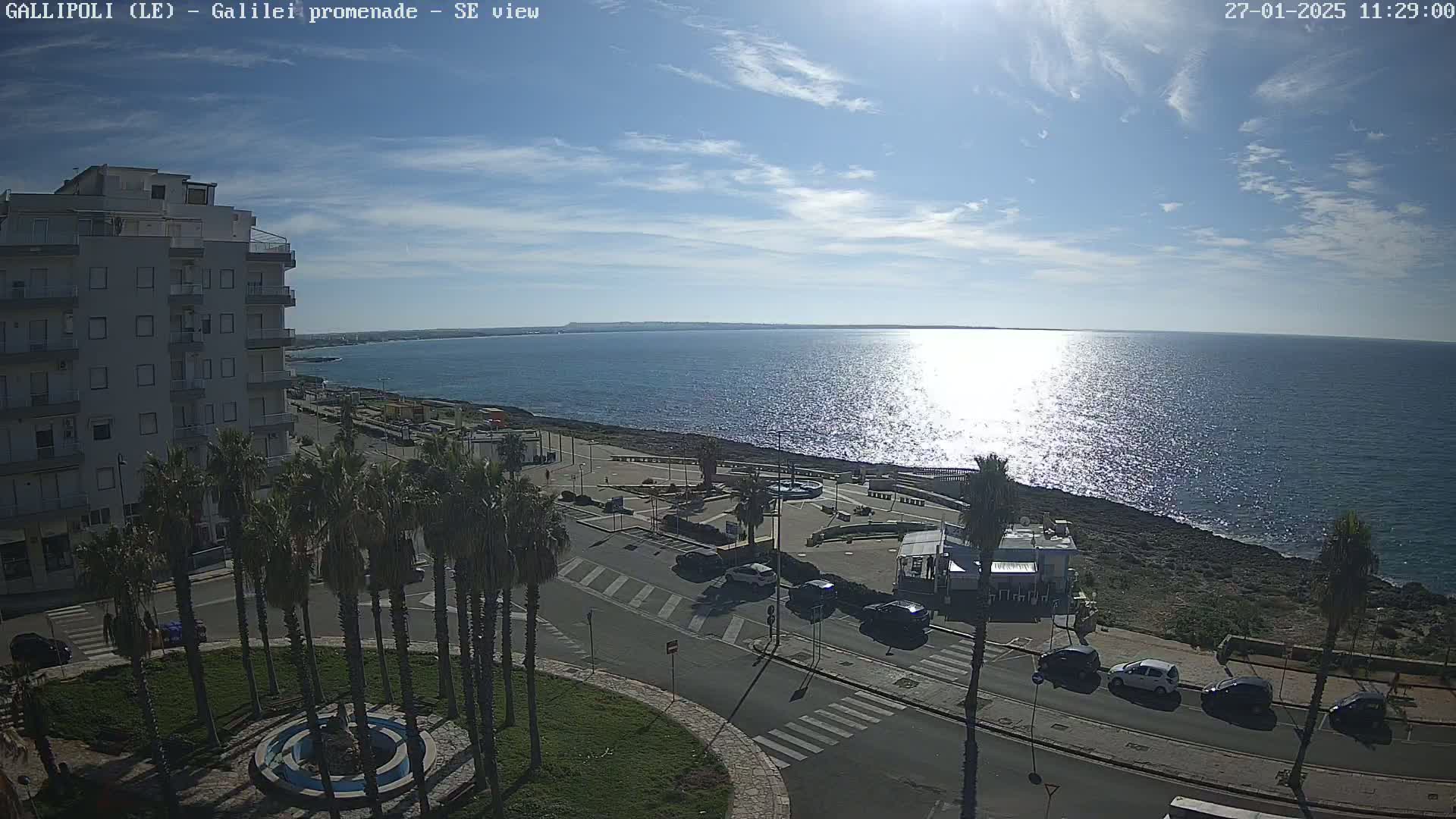 A sunny day overlooks a seaside promenade with palm trees, a few cars parked along the road, and a multi-story building in the background.