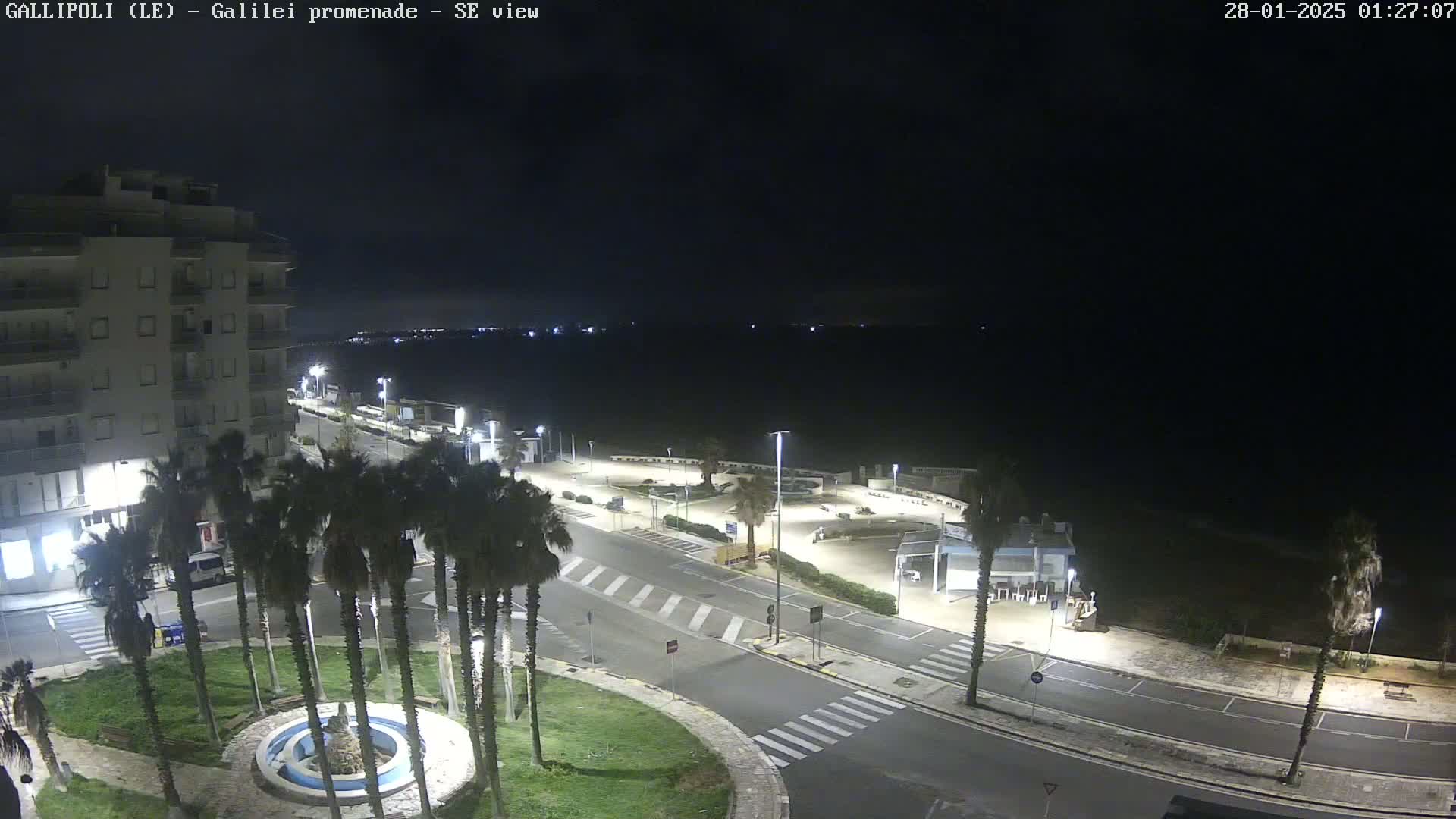 A nighttime, high-angle view of a coastal town's promenade, featuring palm trees, streetlights, and a multi-story building overlooking a dark body of water under a clear, dark sky.