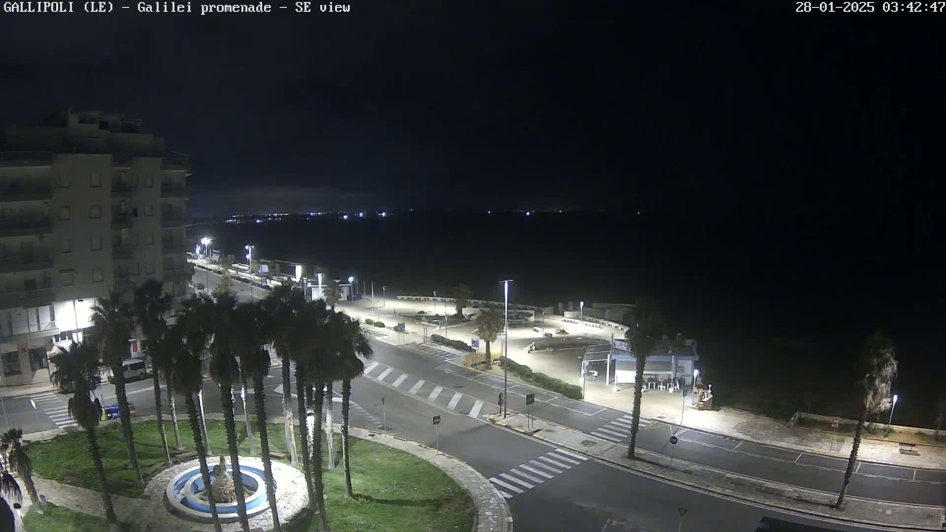 A nighttime, high-angle view of a seaside promenade with palm trees, a fountain, and a building, under a dark, clear sky.