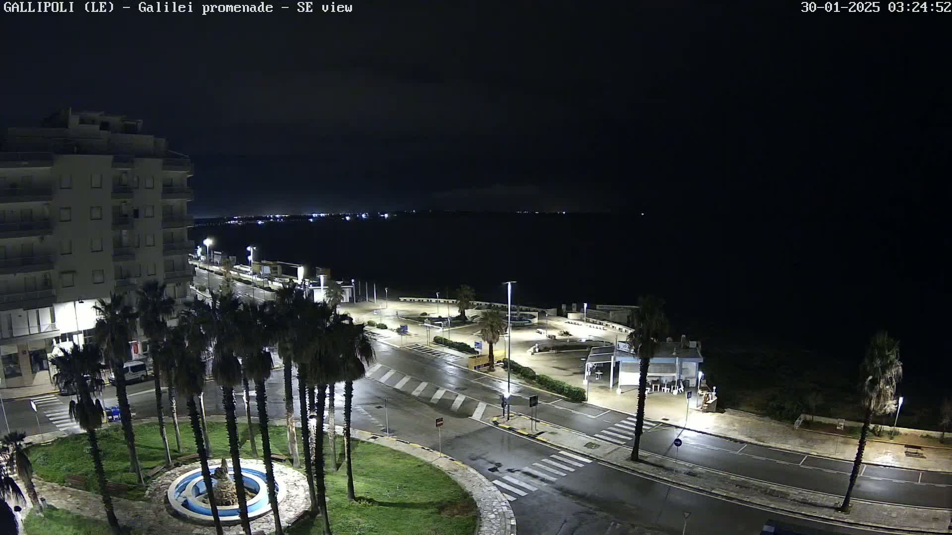 A nighttime, wet view of a seaside promenade with palm trees, a building, and a small fountain in a nearby plaza.