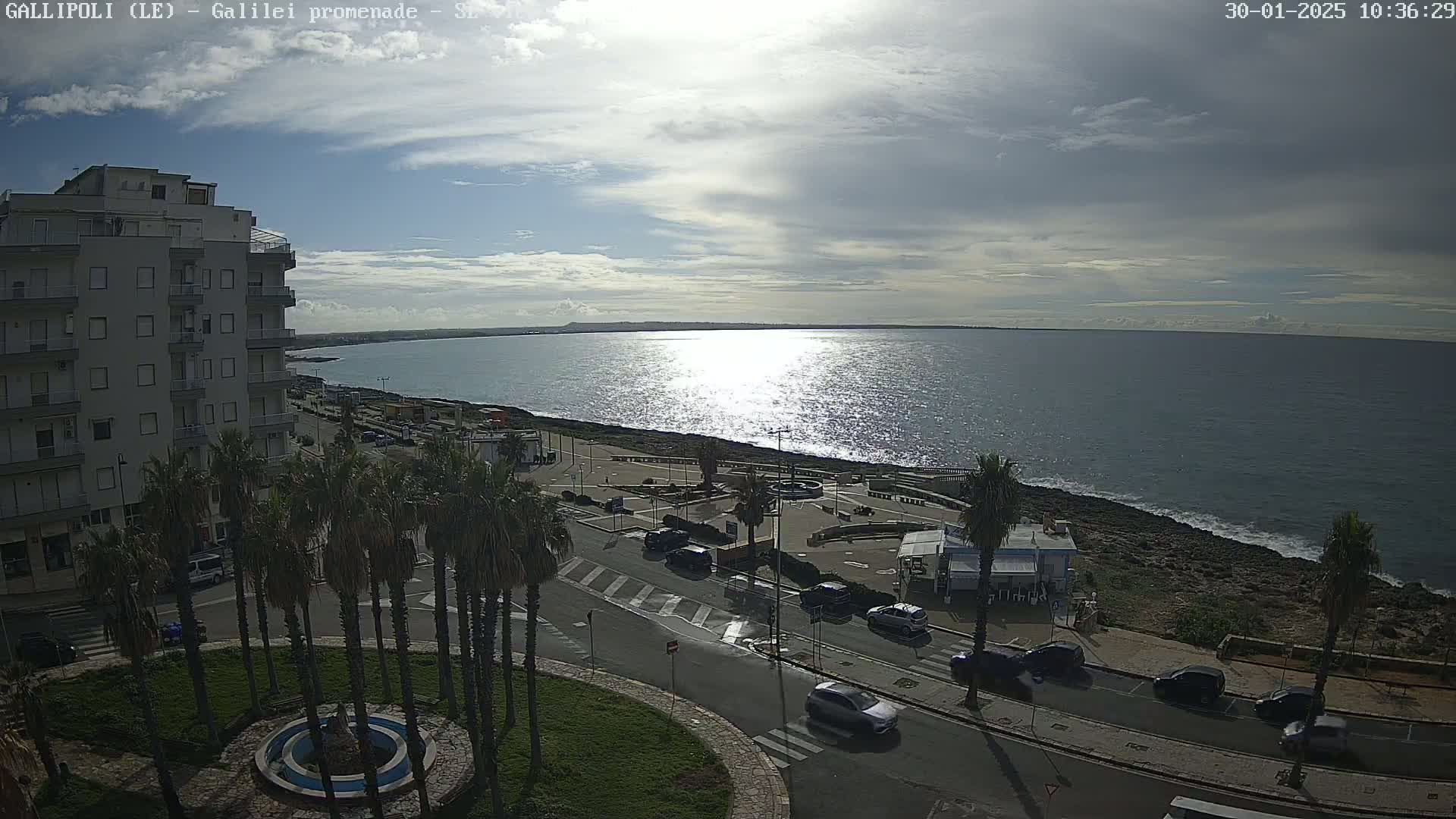 A partly cloudy day shows a seaside town with palm trees lining a street next to a calm, sparkling sea.
