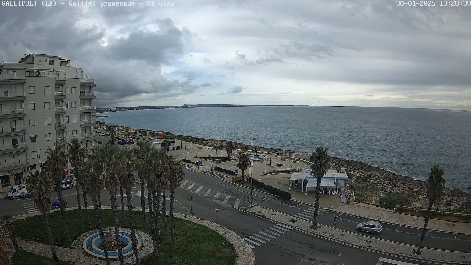 A seaside promenade scene on an overcast day shows a calm sea, a multi-story building, palm trees lining a roadway, and a few cars parked along the curb.