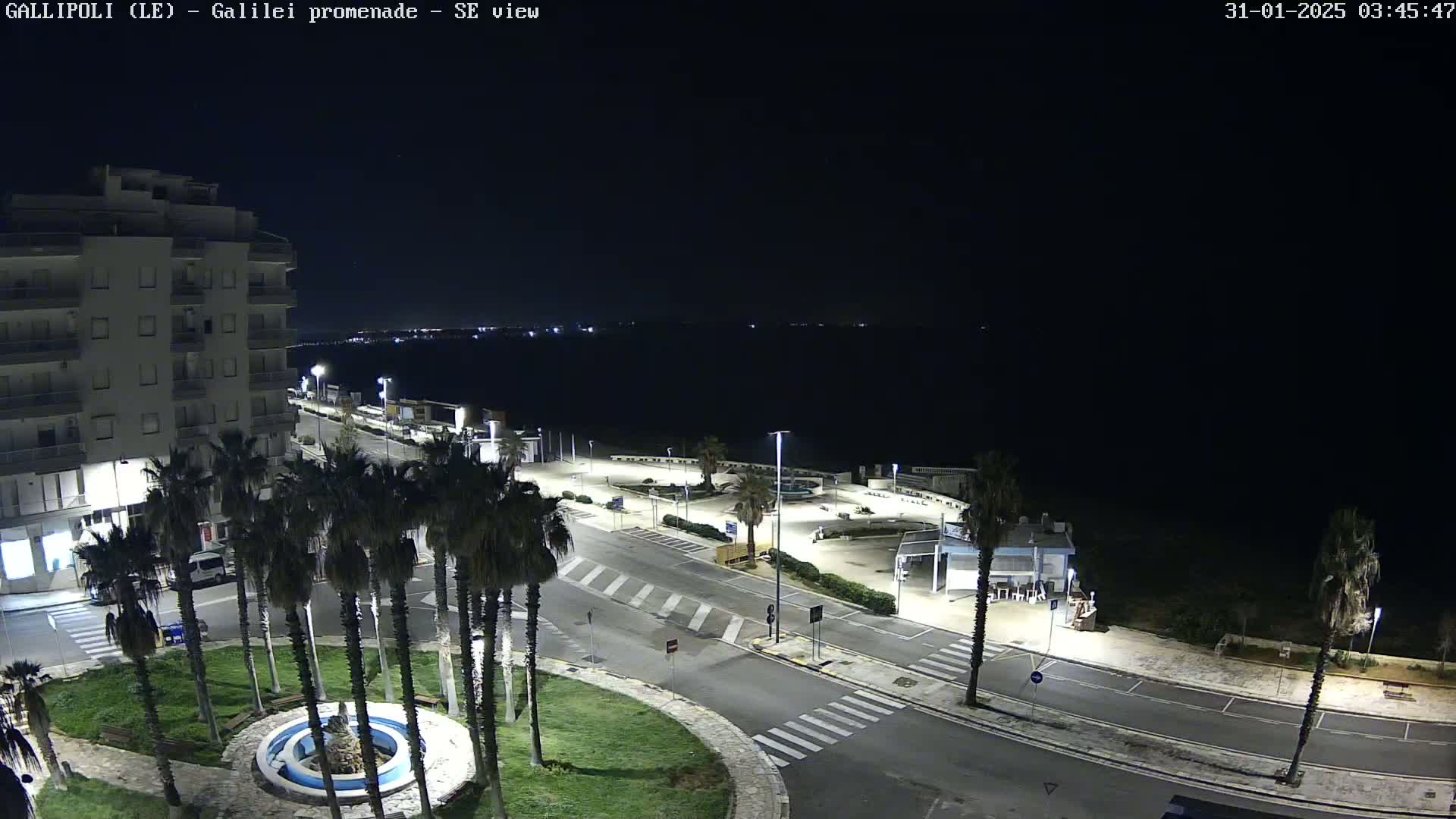 A nighttime, high-angle view shows a seaside promenade with palm trees, a building, and empty streets, under a clear, dark sky.