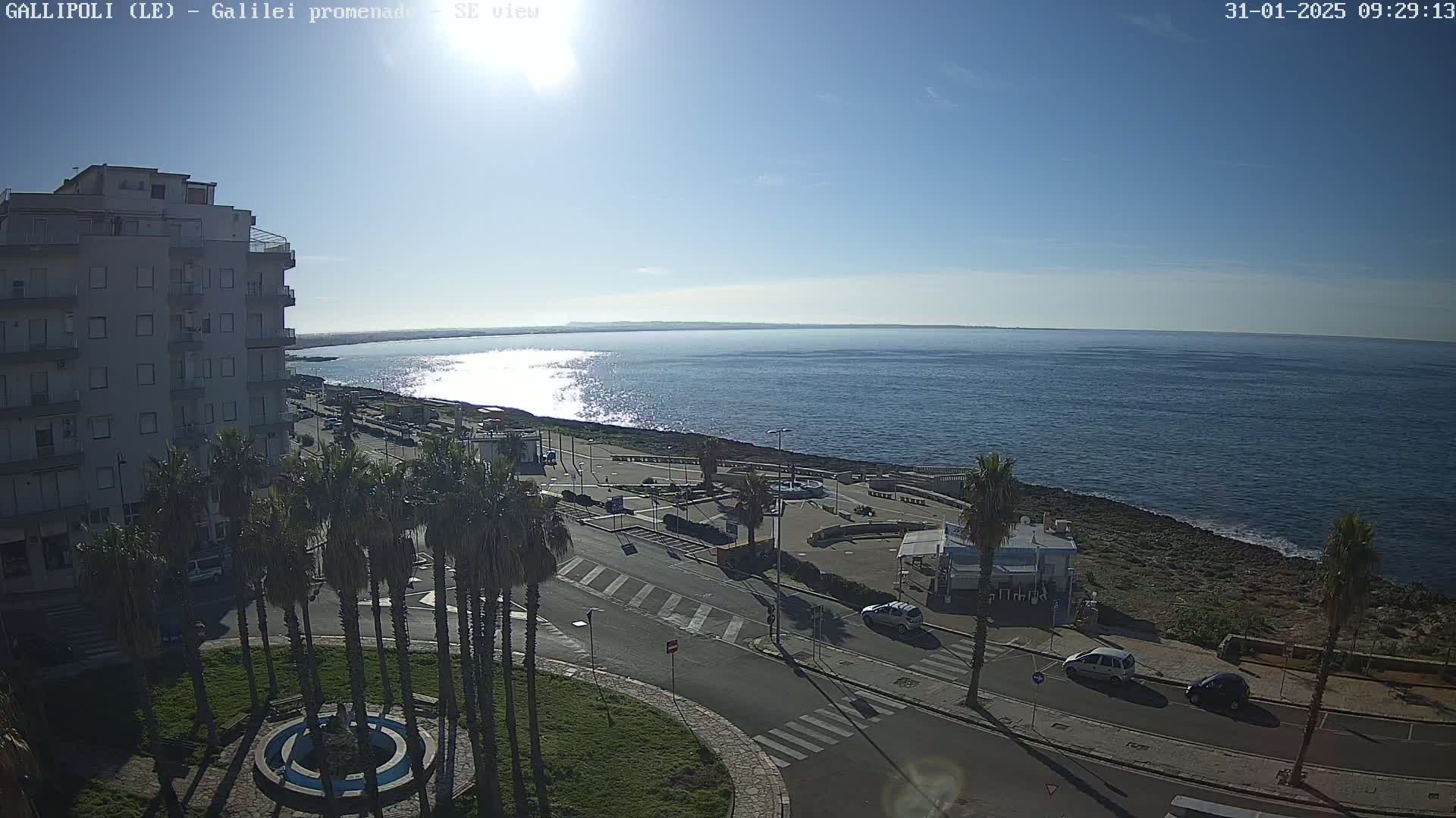 A sunny day shows a seaside town with palm trees lining a road next to a calm, blue sea.
