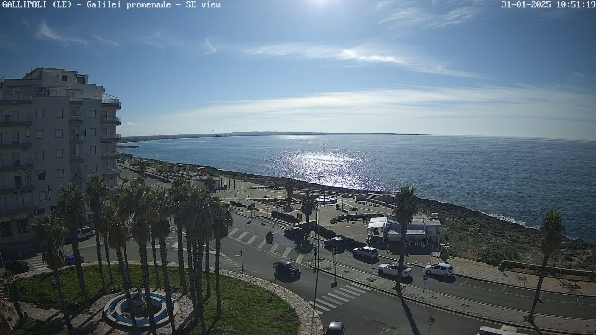 A sunny day overlooks a coastal promenade with palm trees, cars, and buildings, next to a sparkling blue sea.