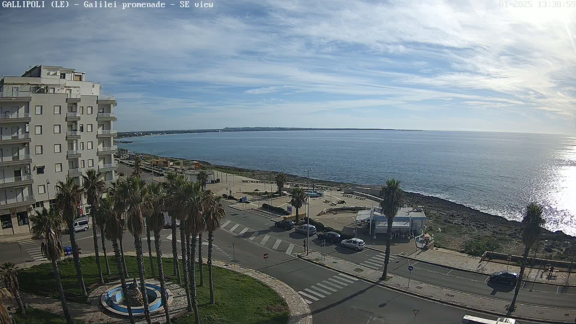 A seaside promenade with palm trees, a fountain, and parked cars under a partly cloudy sky.