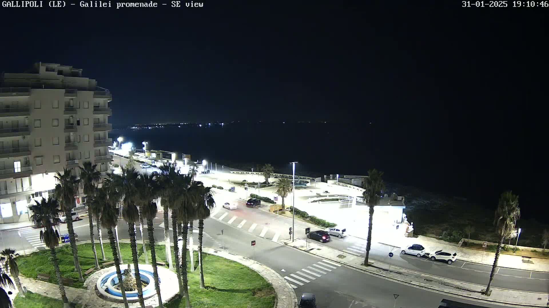 A nighttime, high-angle view shows a coastal town with palm trees lining a roadway near a body of water under a clear, dark sky.